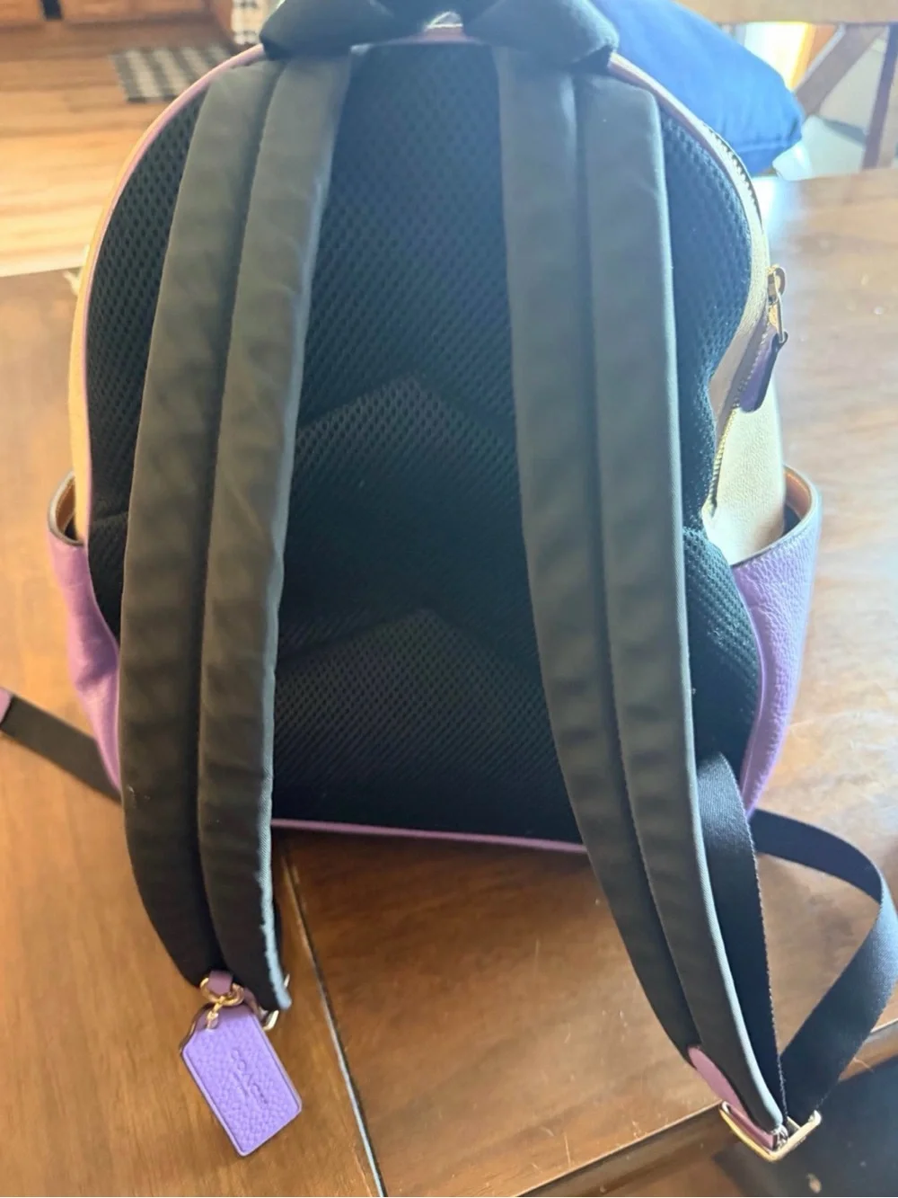 Coach Backpack